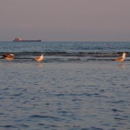 Tramonto sulla spiaggia del Lido