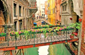 venice-canal-transition-bridge-flowers2